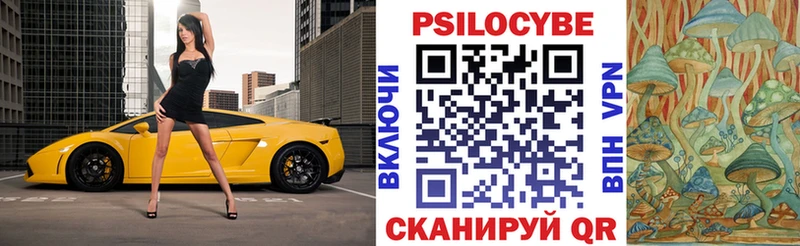 Псилоцибиновые грибы прущие грибы  Севск 